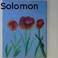NatSolomon